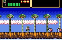 Скриншот из игры «Wonder Boy III: Monster Lair»
