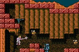 Скриншот из игры «Faxanadu»