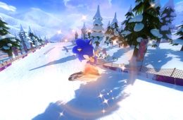 Скриншот из игры «Mario & Sonic at the Sochi 2014 Olympic Winter Games»