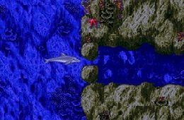 Скриншот из игры «Ecco the Dolphin»