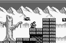 Скриншот из игры «Castlevania: The Adventure»