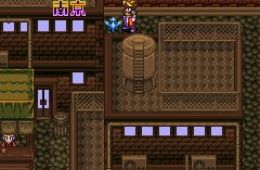 Скриншот из игры «Terranigma»