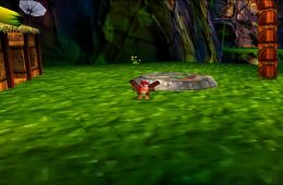 Скриншот из игры «Donkey Kong 64»