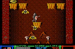 Скриншот из игры «Wizards & Warriors»