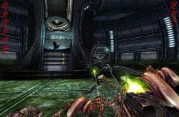 Скриншот из игры «Aliens versus Predator»