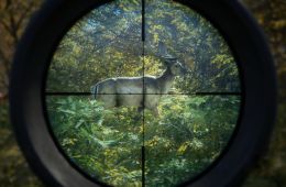 Скриншот из игры «TheHunter: Call of the Wild»