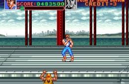 Скриншот из игры «Super Double Dragon»