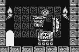 Скриншот из игры «Wario Land: Super Mario Land 3»