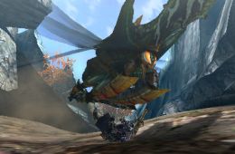 Скриншот из игры «Monster Hunter 4»