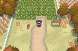 Скриншот из игры «Pokémon Black Version»