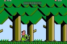 Скриншот из игры «Adventure Island 3»