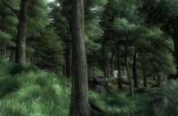 Скриншот из игры «The Elder Scrolls IV: Oblivion»