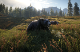 Скриншот из игры «TheHunter: Call of the Wild»