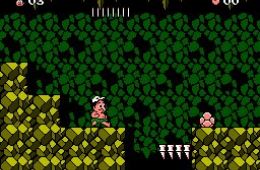 Скриншот из игры «Adventure Island 3»