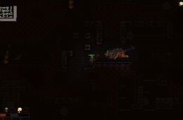 Скриншот из игры «Vagante»