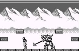 Скриншот из игры «Castlevania: The Adventure»