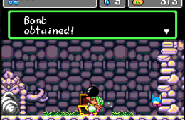 Скриншот из игры «Monster World IV»