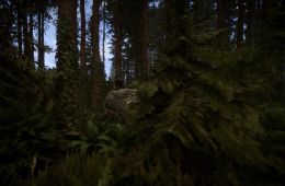 Скриншот из игры «Sons of the Forest»