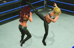 Скриншот из игры «WWE SmackDown vs. Raw 2009»