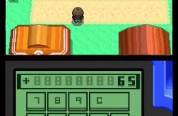 Скриншот из игры «Pokémon Diamond Version»