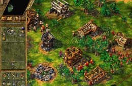Скриншот из игры «The Settlers IV»
