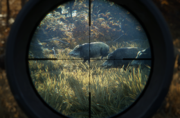 Скриншот из игры «TheHunter: Call of the Wild»