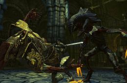 Скриншот из игры «Divinity II: Developer's Cut»
