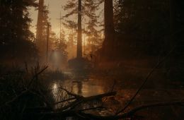 Скриншот из игры «Alan Wake II»