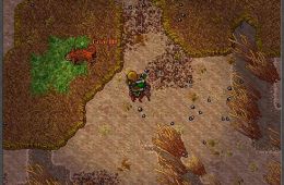 Скриншот из игры «Tibia»