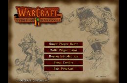 Скриншот из игры «Warcraft II: Tides of Darkness»