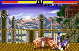 Скриншот из игры «Fighter's History»