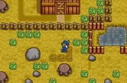 Скриншот из игры «Harvest Moon»