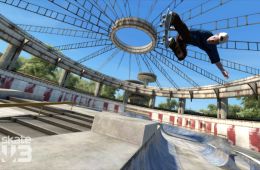 Скриншот из игры «Skate 3»