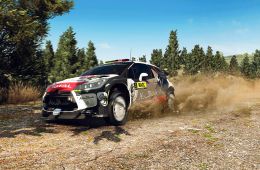 Скриншот из игры «WRC 5 FIA World Rally Championship»