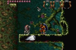 Скриншот из игры «Demon's Crest»