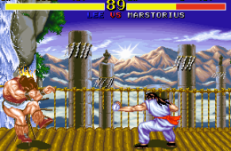 Скриншот из игры «Fighter's History»