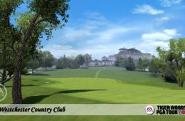 Скриншот из игры «Tiger Woods PGA Tour 08»
