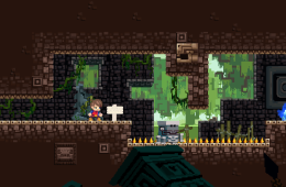 Скриншот из игры «Adventures of Pip»