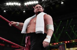 Скриншот из игры «WWE 2K18»