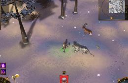Скриншот из игры «Evil Islands: Curse of the Lost Soul»