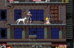 Скриншот из игры «Shadow Dancer: The Secret of Shinobi»