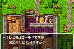 Скриншот из игры «Dragon Quest»