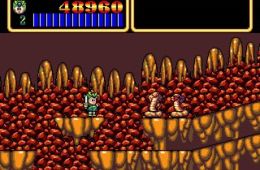 Скриншот из игры «Wonder Boy III: Monster Lair»