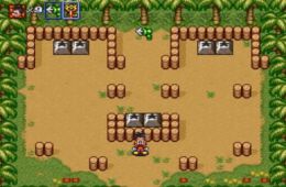 Скриншот из игры «Disney's Goof Troop»