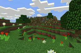 Скриншот из игры «Minecraft»