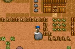Скриншот из игры «Harvest Moon»