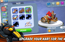 Скриншот из игры «Angry Birds Go!»