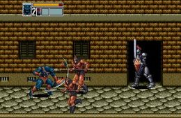 Скриншот из игры «Golden Axe III»