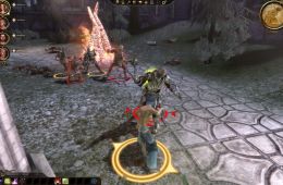 Скриншот из игры «Dragon Age: Origins»
