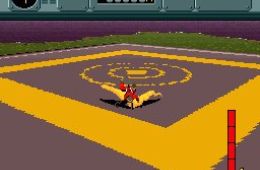 Скриншот из игры «Pilotwings»